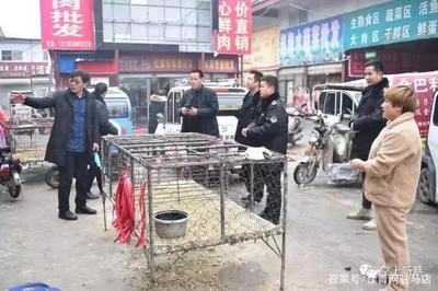 新蔡县公交停运、公共文化场所、活禽交易市场关闭